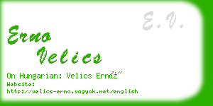 erno velics business card